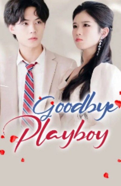 Capa da minissérie Adeus Playboy